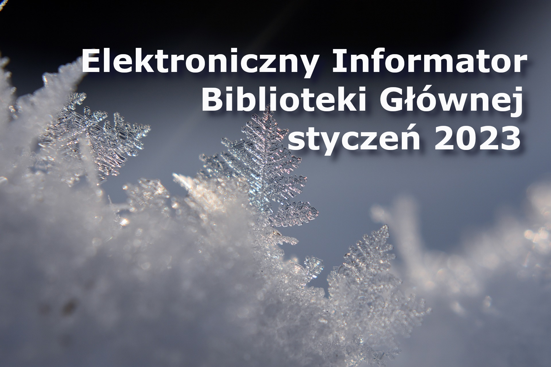 Elektroniczny Informator Biblioteki Głównej – styczeń 2023