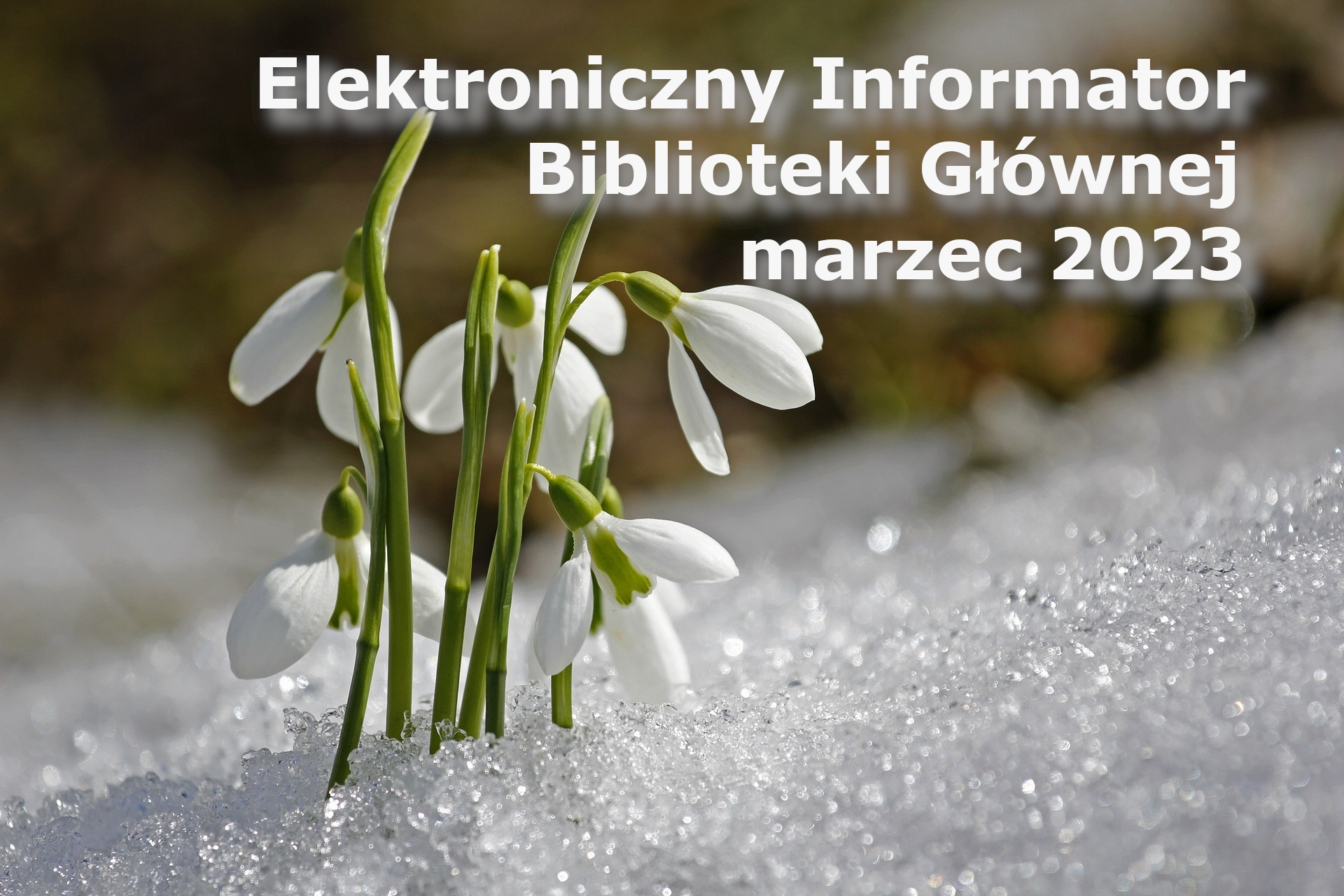 Elektroniczny Informator Biblioteki Głównej – marzec 2023